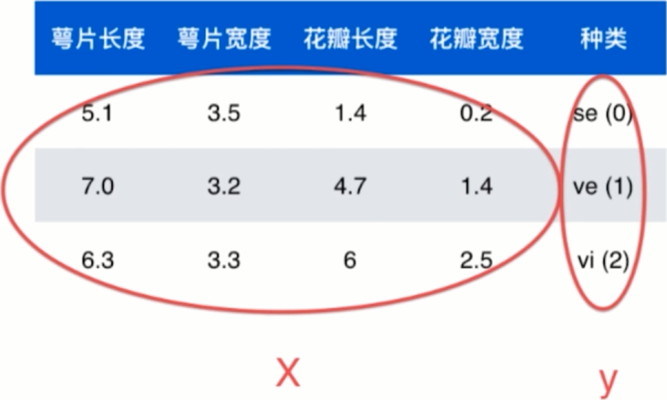 鸢尾花数据表